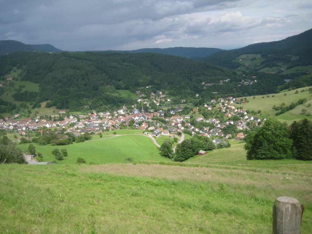 Gite En Pleine Verdure Au Coeur Du Village Lapoutroie Eksteriør bilde