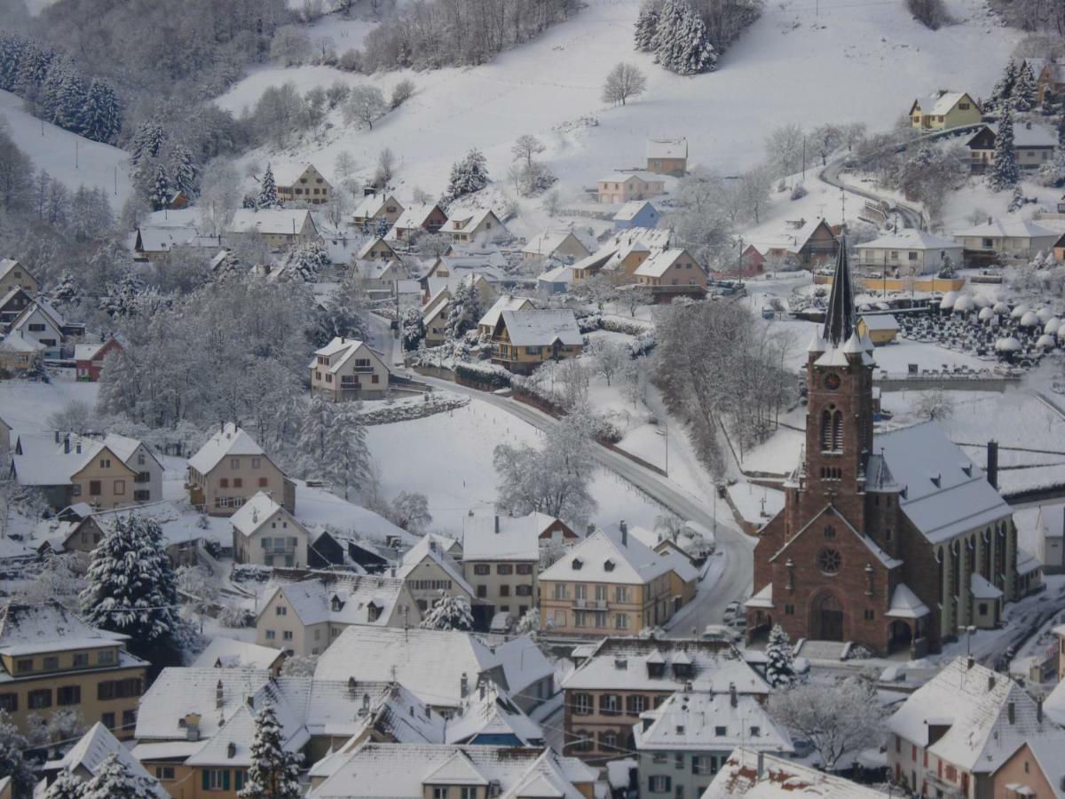 Gite En Pleine Verdure Au Coeur Du Village Lapoutroie Eksteriør bilde